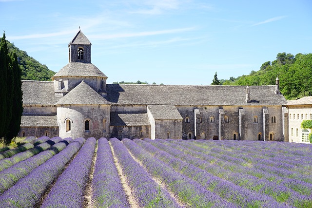 Une abbaye ancienne en pierre avec un champ de lavande devant