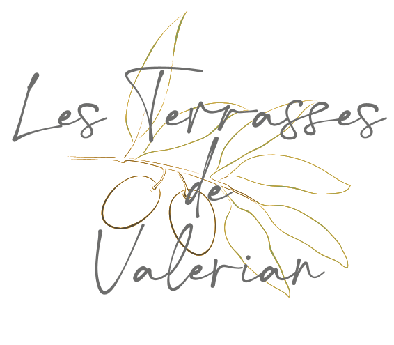 Logo avec le nom d'une entreprise les terrasses de Valerian sur une branche d'olivier dessinée