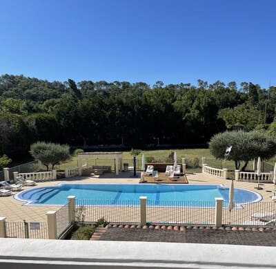 Piscine vue de haut au devant d'un bois