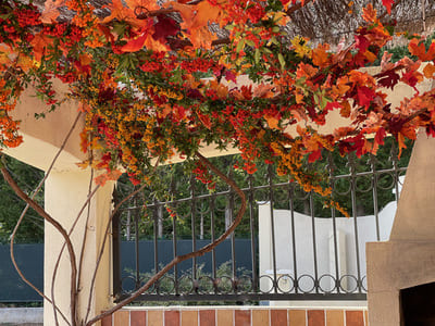 Le plafond d'une terrasse couverte, décoré de feuilles et fruits aux couleurs d'automne