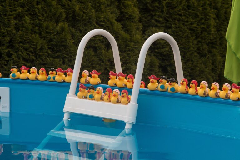 Canards regroupés autour de la piscine